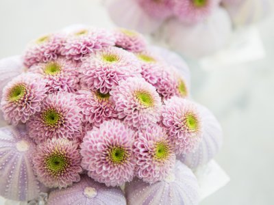 Winterse boeketjes met chrysanten 'Doria Pink' - close