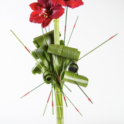 Enkele bloem liefde