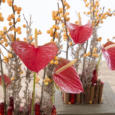 Kerstarrangement met Anthurium en Ilex