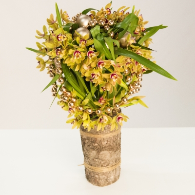 LZ Cymbidium plants - Something very different this Christmas