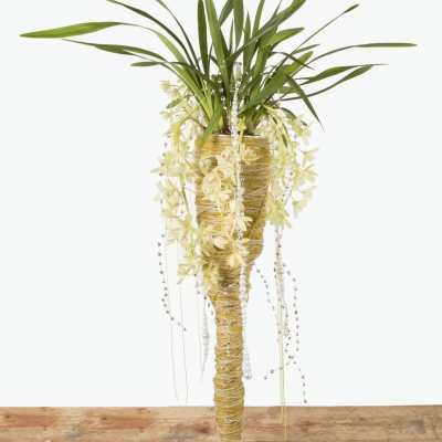 Cymbidium Plantenarrangement voor Kerst - LZorchidee 