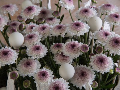 Polka dots voor kerst