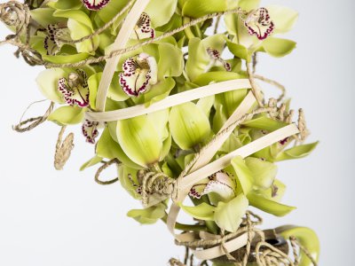 Cymbidium arrangement voor Pasen