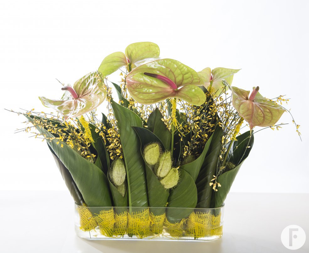 Fiore pasen anthuriums compositie