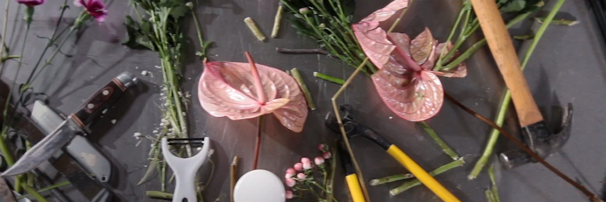 Wist je dat... je het afsnijden van bloemen achterwege kunt laten