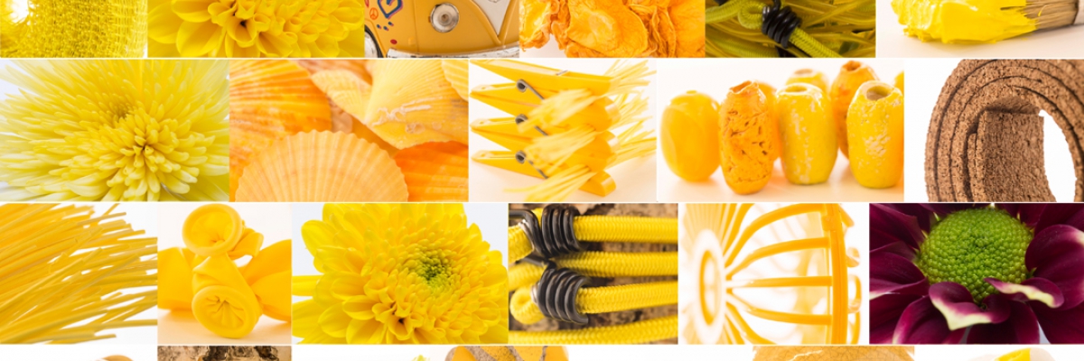 Zentoo Moodboard Zomer