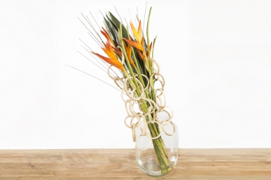 Olympische fakkel van Heliconia's