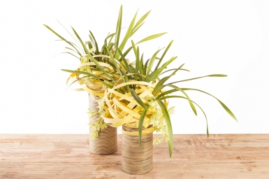 Cymbidium in balconstructie