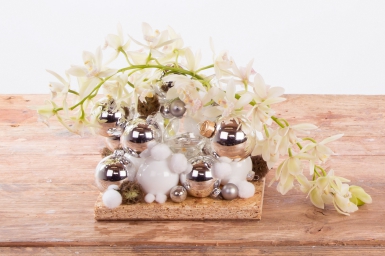 Cascade Cymbidium for Christmas