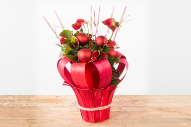 Anthurium plant for Christmas