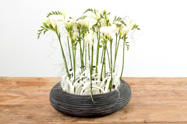 Zwart-wit Freesia ontwerp