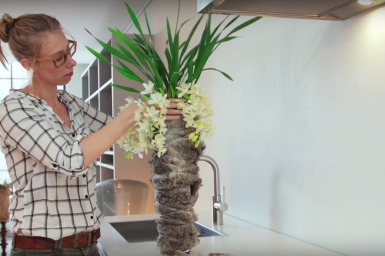 Cascade Cymbidium planten arrangement