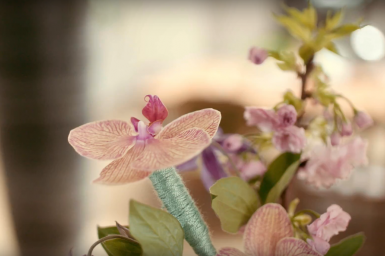 Eén snij-Phalaenopsis tak, vier ontwerpen