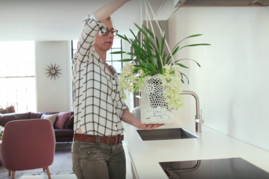 Cascade Cymbidium DIY