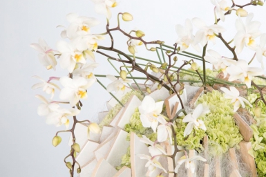 Lente design door David Ragg