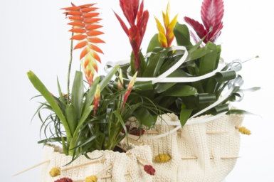 Design met opgerold blad