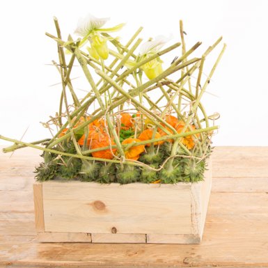 Arrangement in herfsttinten