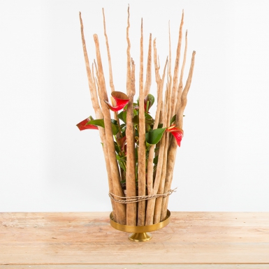 Luxurious Anthurium design