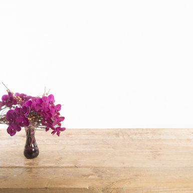 Hart van Phalaenopsis