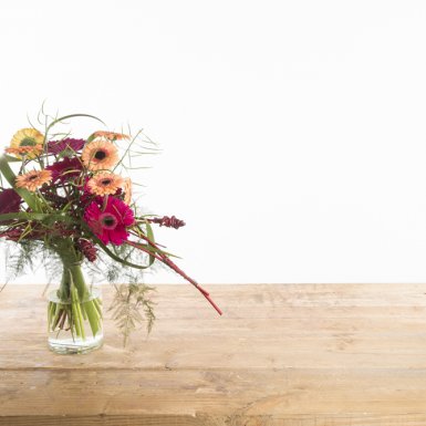 Gerbera hart