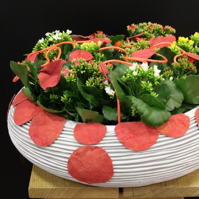 Plantenarrangement van Geertje Stienstra