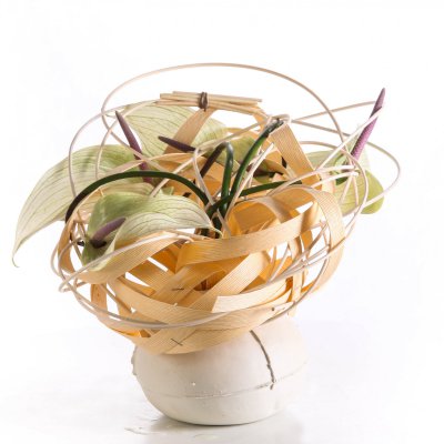 Anthurium design van Pim van den Akker