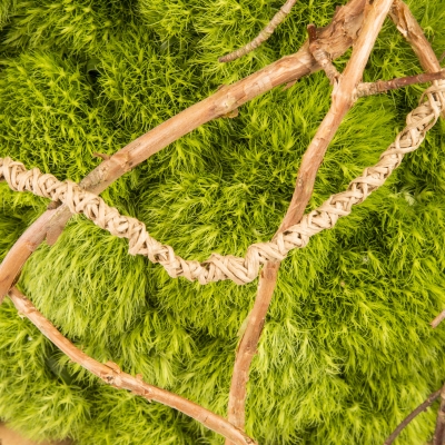 Bloemwerk met Green Trick - close up