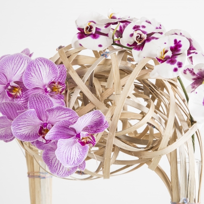 Close up met phalaenopsis op bijzondere constructie van hout