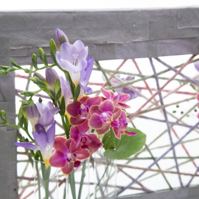 Freesia en Phalaenopsis combinatie