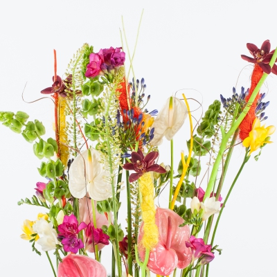 Bright and colorful Anthurium design