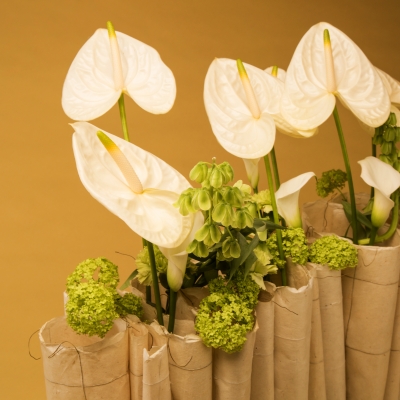 Anthurium design van Geertje Stienstra