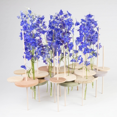 Delphinium design
