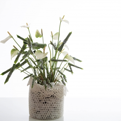 een Anthurium net even anders gestyled