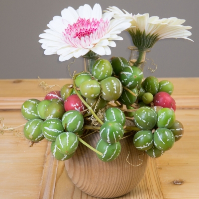 Vaasje van houten bal