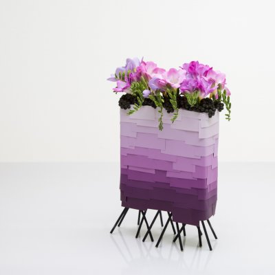 50 tinten paars - Freesia Freestyle