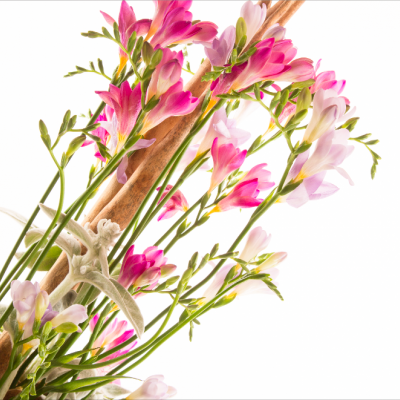 Freesia arrangement