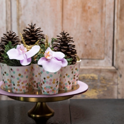 Eenvoudige kerstdecoratie met Phalaenopsis