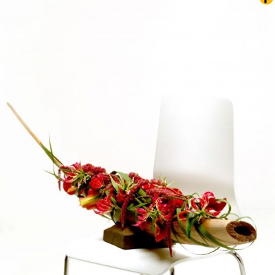 Tropische Gloriosa en Amaranthus