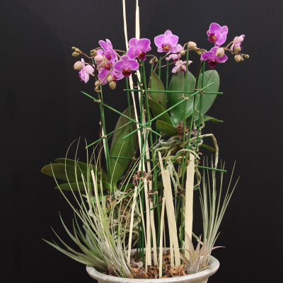 Design van David Ragg