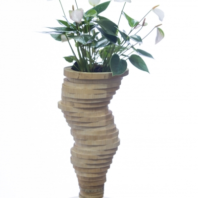 Elegant Anthurium arrangement