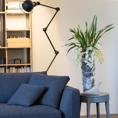 Cymbidium orchidee in de woonkamer