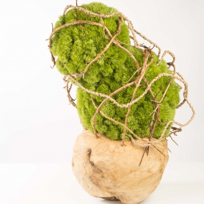 Bloemwerk met Green Trick