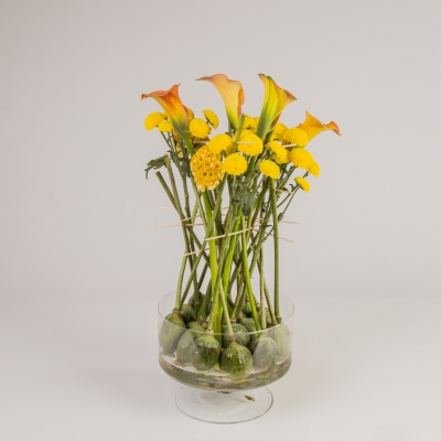 Limoncello design