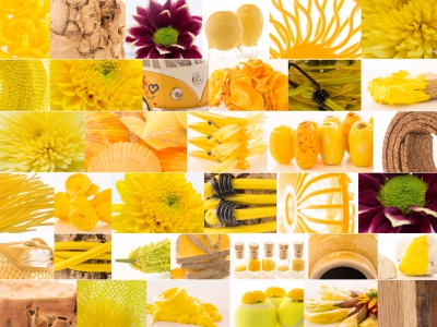 Zentoo Moodboard Zomer