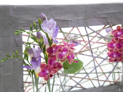 Freesia en Phalaenopsis combinatie