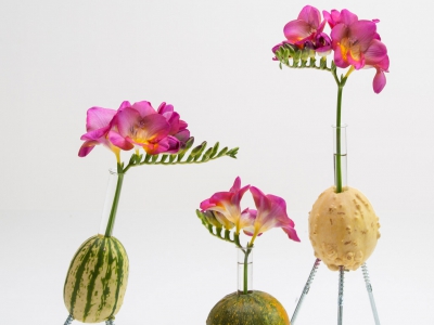 Grappig Freesia design