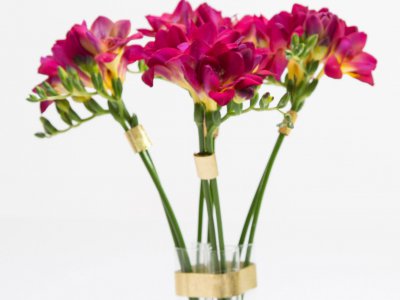 Felroze Freesia's met goud