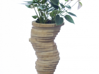 Elegant Anthurium arrangement