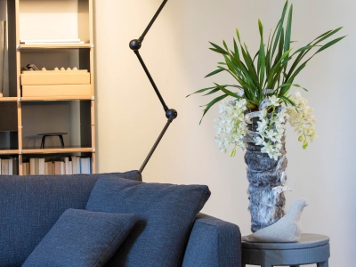 Cymbidium orchidee in de woonkamer