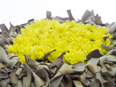 Spring Chrysanthemum design